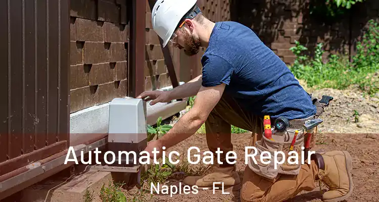  Automatic Gate Repair Naples - FL